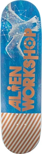 boardparadise-1202605130229073728686