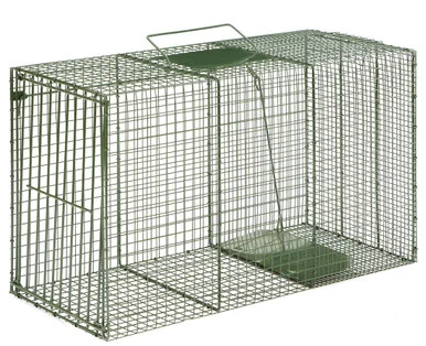 flemingtraps202605021709361970952