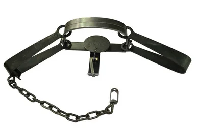 flemingtraps202605021715571974779